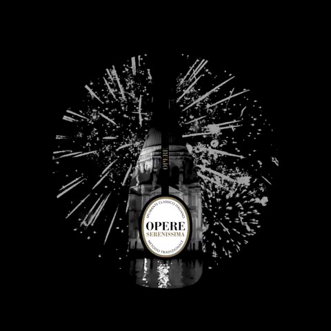 villa-sandi-video-cover